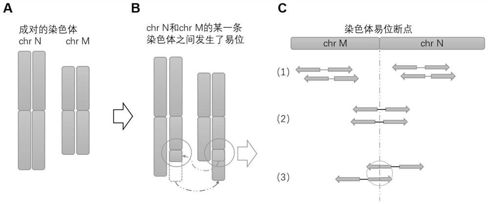 NGS-based chromosome balanced translocation detection and analysis system and its application