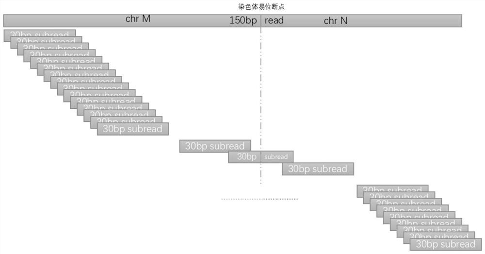 NGS-based chromosome balanced translocation detection and analysis system and its application