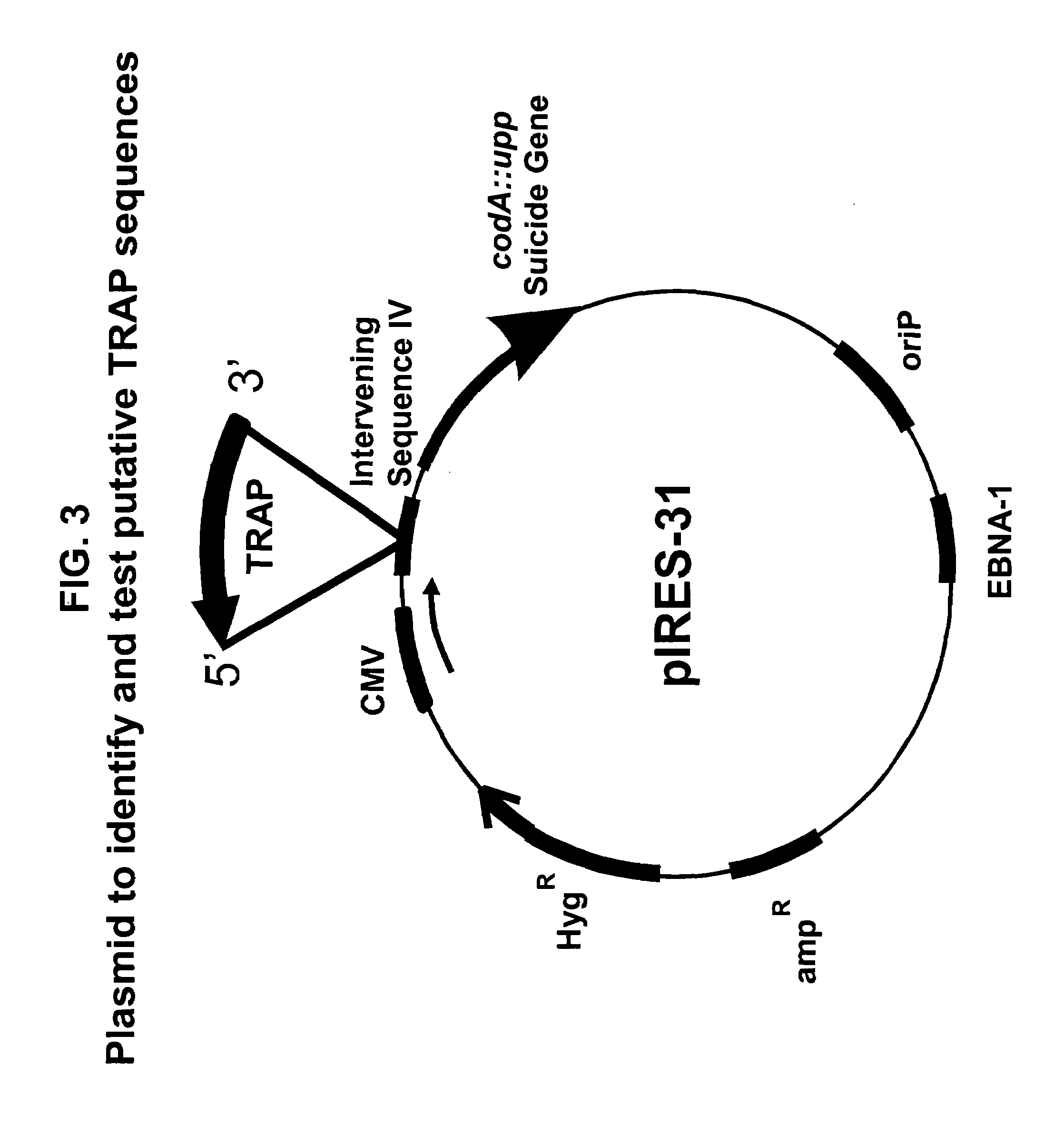 Method for improving protein production