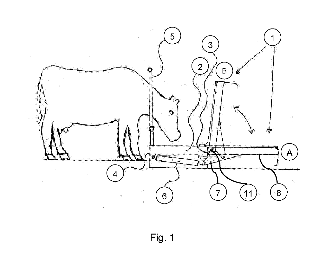 Feeding Device for Cattle and Small Livestock