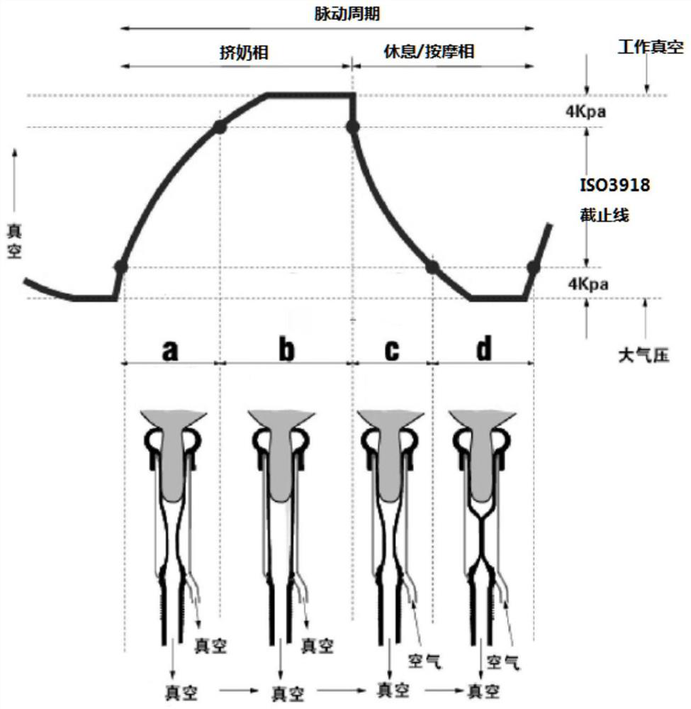 Multi-point pulsation monitoring system