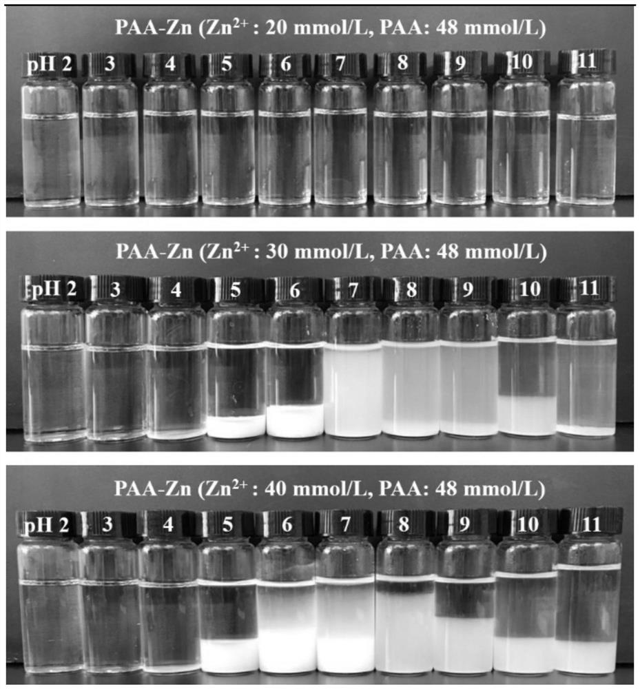 A kind of metal ion transfer carrier and its preparation method and application