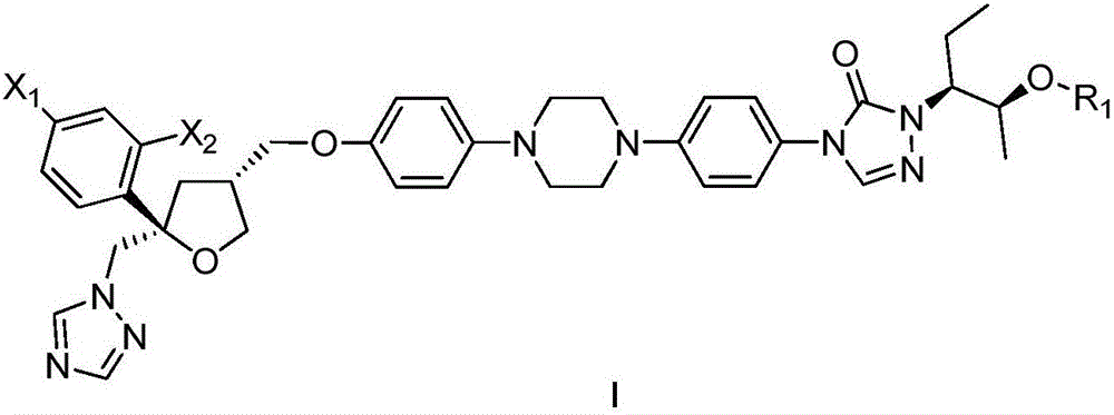 Substituted tetrahydrofuran water-soluble derivatives and application thereof