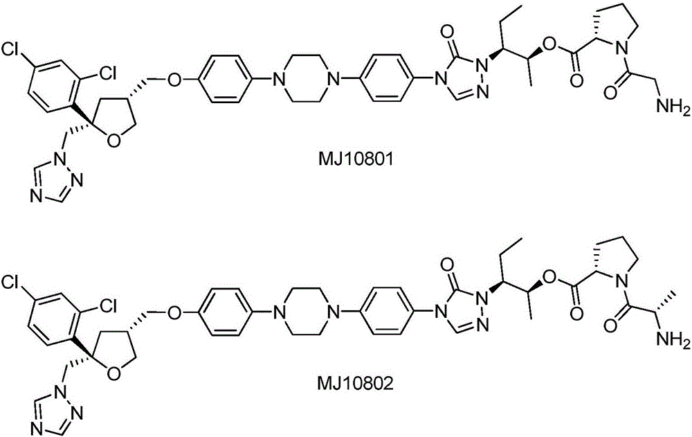 Substituted tetrahydrofuran water-soluble derivatives and application thereof