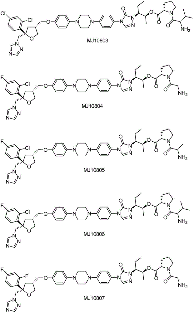 Substituted tetrahydrofuran water-soluble derivatives and application thereof