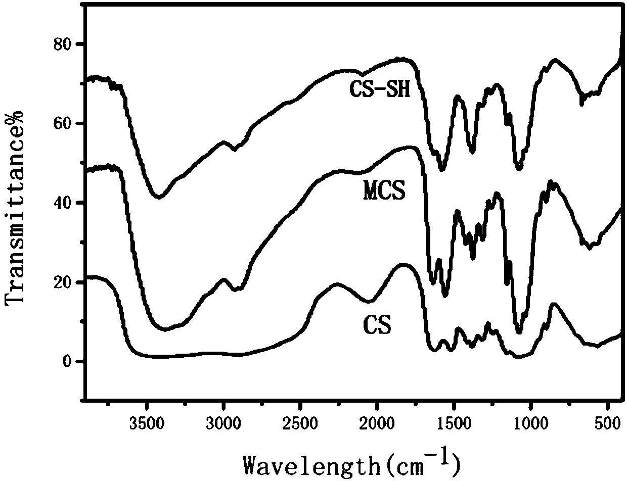 Chitosan hydrogel, and preparation method and application thereof