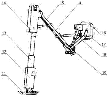 A deformable bionic search and rescue robot