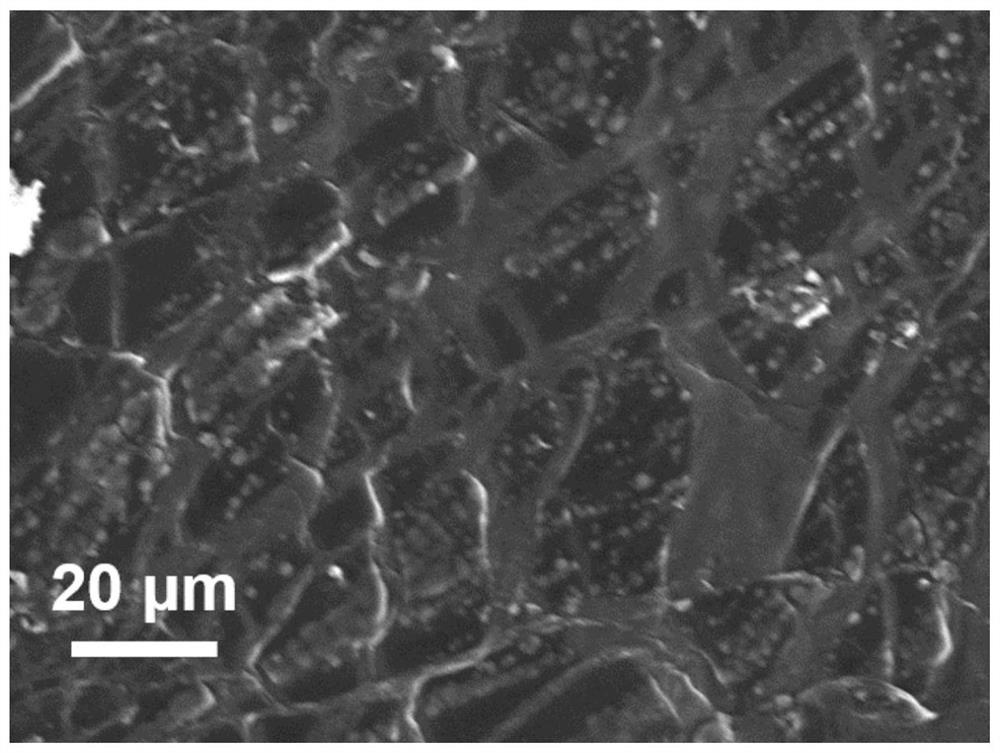 Application of Fullerene Derivatives as Electrolyte Additives and Corresponding Metal Batteries