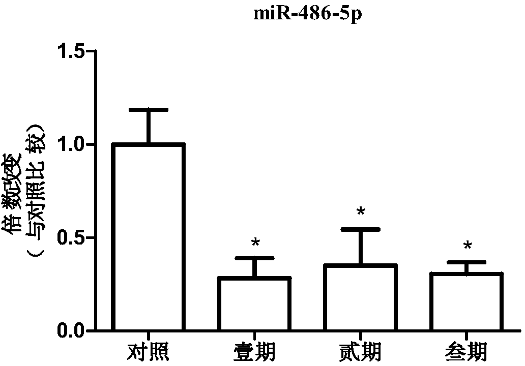 Application of miRNA marker hsa-miR-486-5p