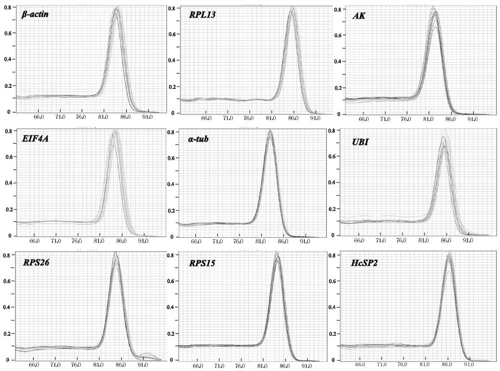 Fluorescent quantitative reference genes of hyphantria cunea adults with different sexes as well as primers and application of fluorescent quantitative reference genes