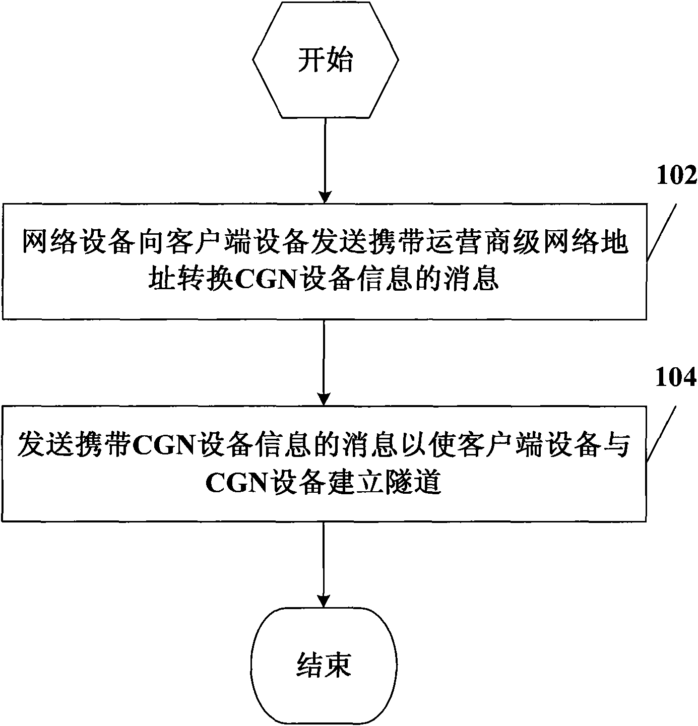 Carrier-grade network address translation equipment discovery method, equipment and system