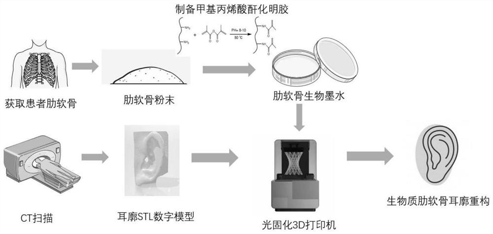 3D printed bio-ink based on costal cartilage as well as preparation method and application thereof