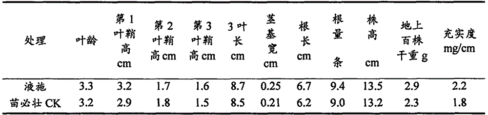 Seedling strengthening agent used for drily-raised rice in cold region and applied to seed bed in liquid application manner, and application method thereof