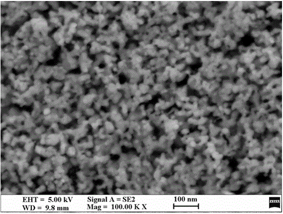 Preparation method for titanium plate loaded palladium nanoparticle catalyst