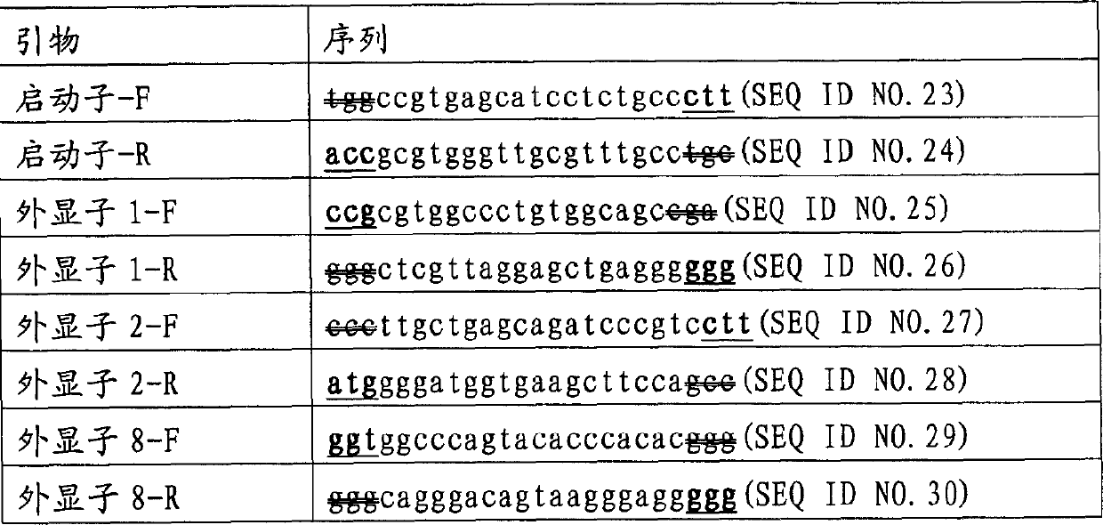 Multiple PCR primer group for human HNF-1 alpha gene amplification