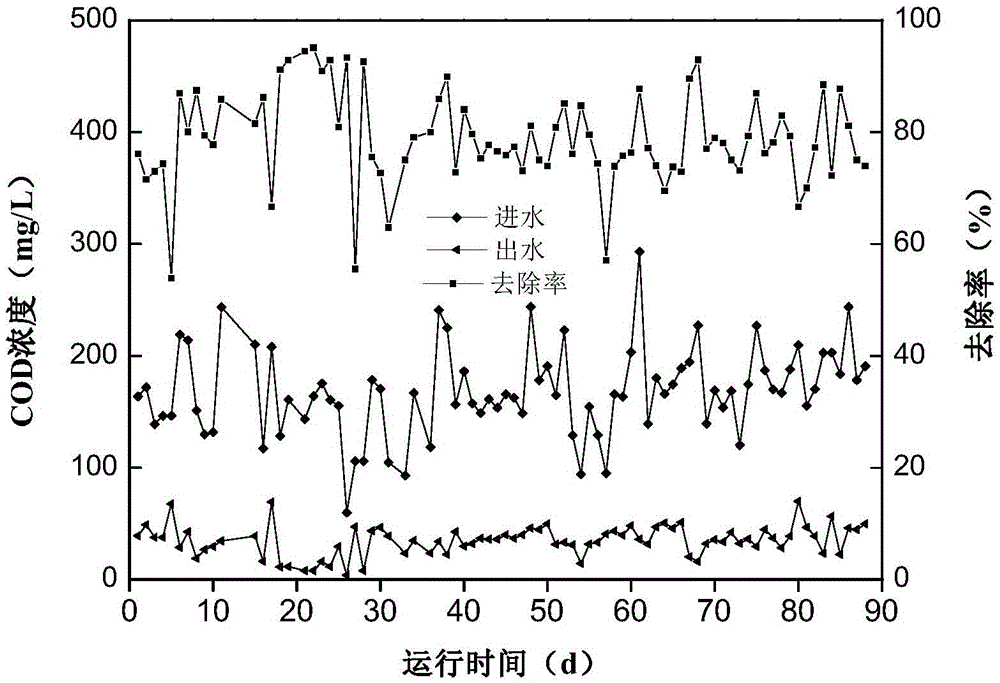 An improved a2/o enhanced nitrogen and phosphorus removal treatment device and process for urban sewage