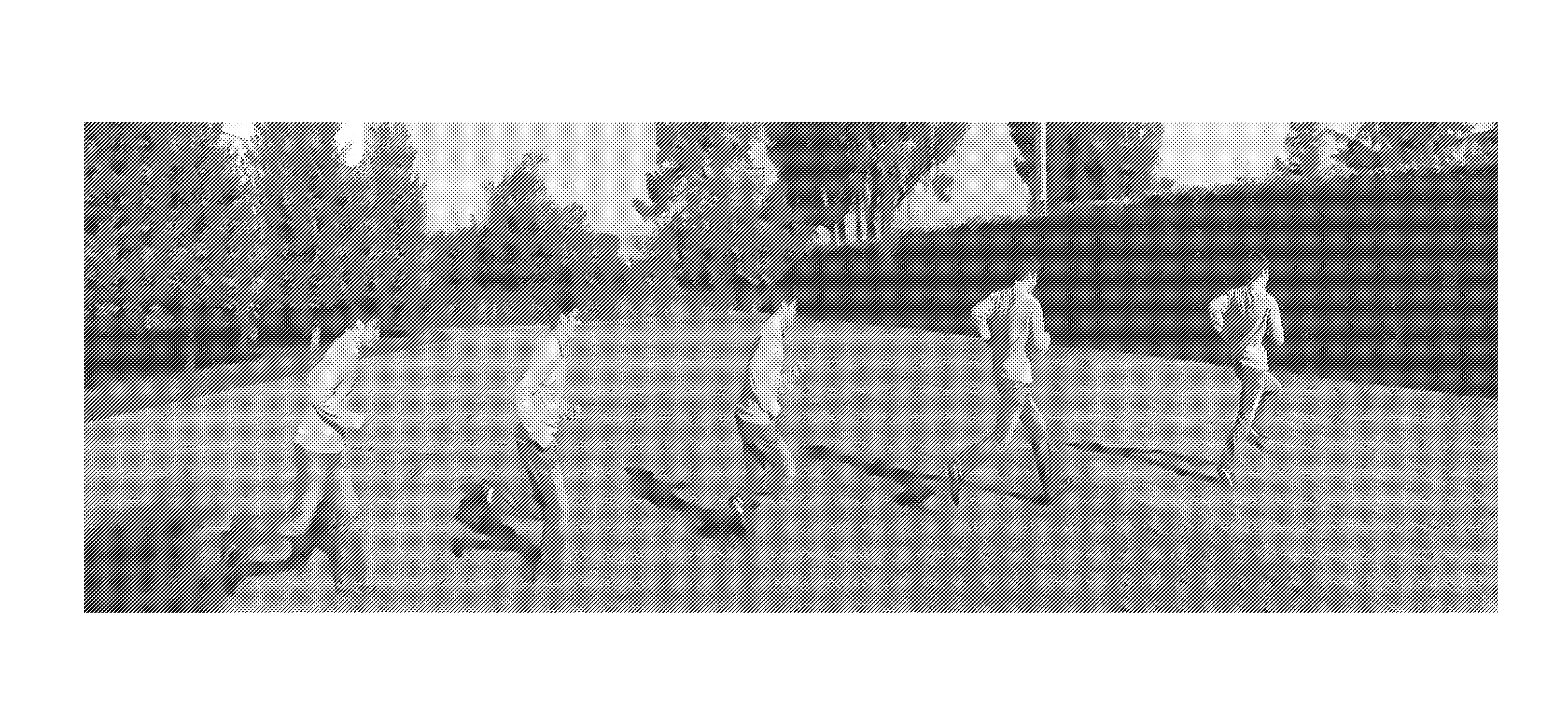 Tail the motion method of generating simulated strobe motion videos and pictures using image cloning