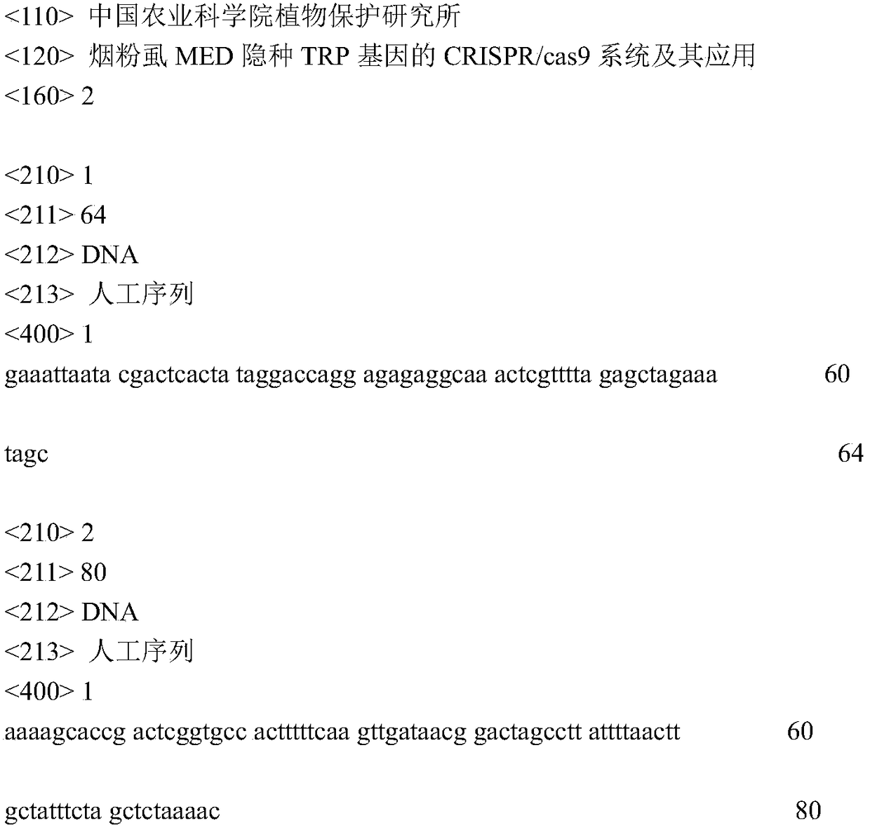 Crispr/cas9 system and its application of the trp gene of Bemisia tabaci med cryptic species