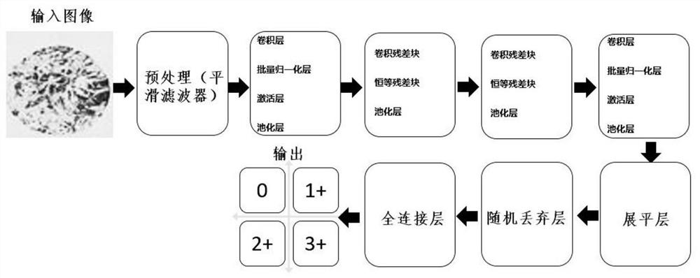 HER2 image classification method and system based on convolution and residual networks
