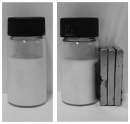 A kind of fluorescent nanoparticle and its preparation method and application