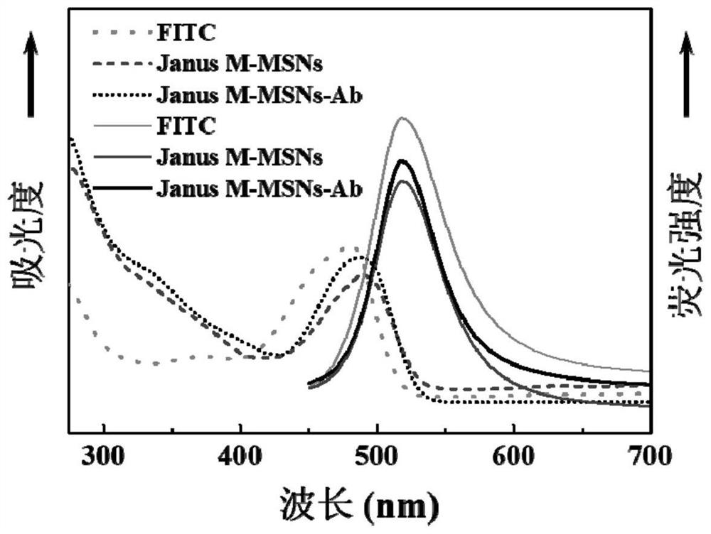 A kind of fluorescent nanoparticle and its preparation method and application