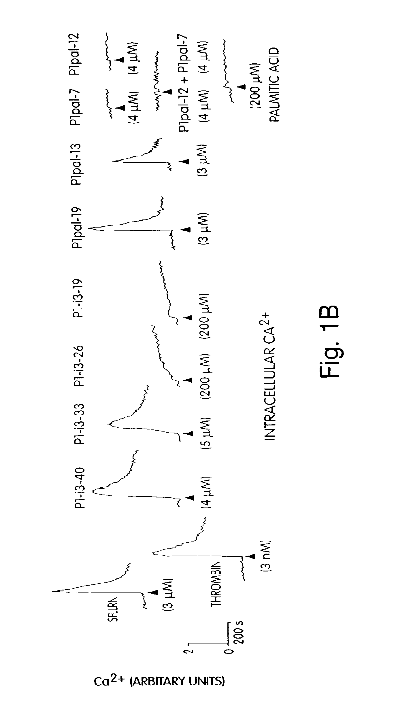 G protein coupled receptor antagonists and methods of activating and inhibiting g protein coupled receptors using the same