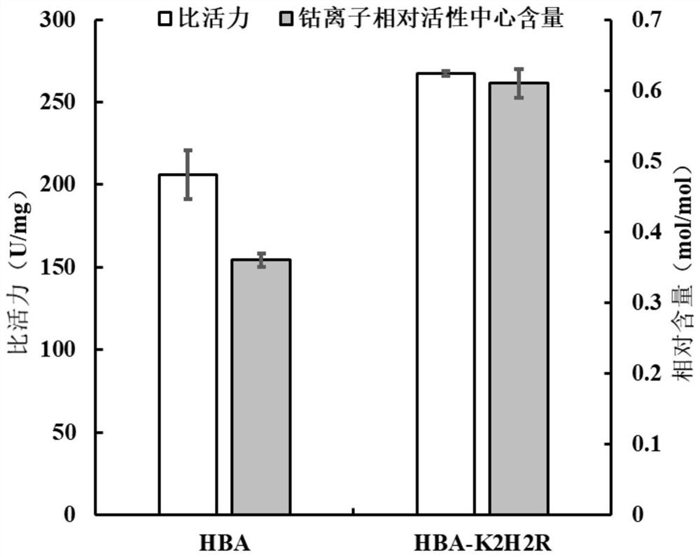 Nitrile hydratase lysine mutant HBA-K2H2R, coding gene and application