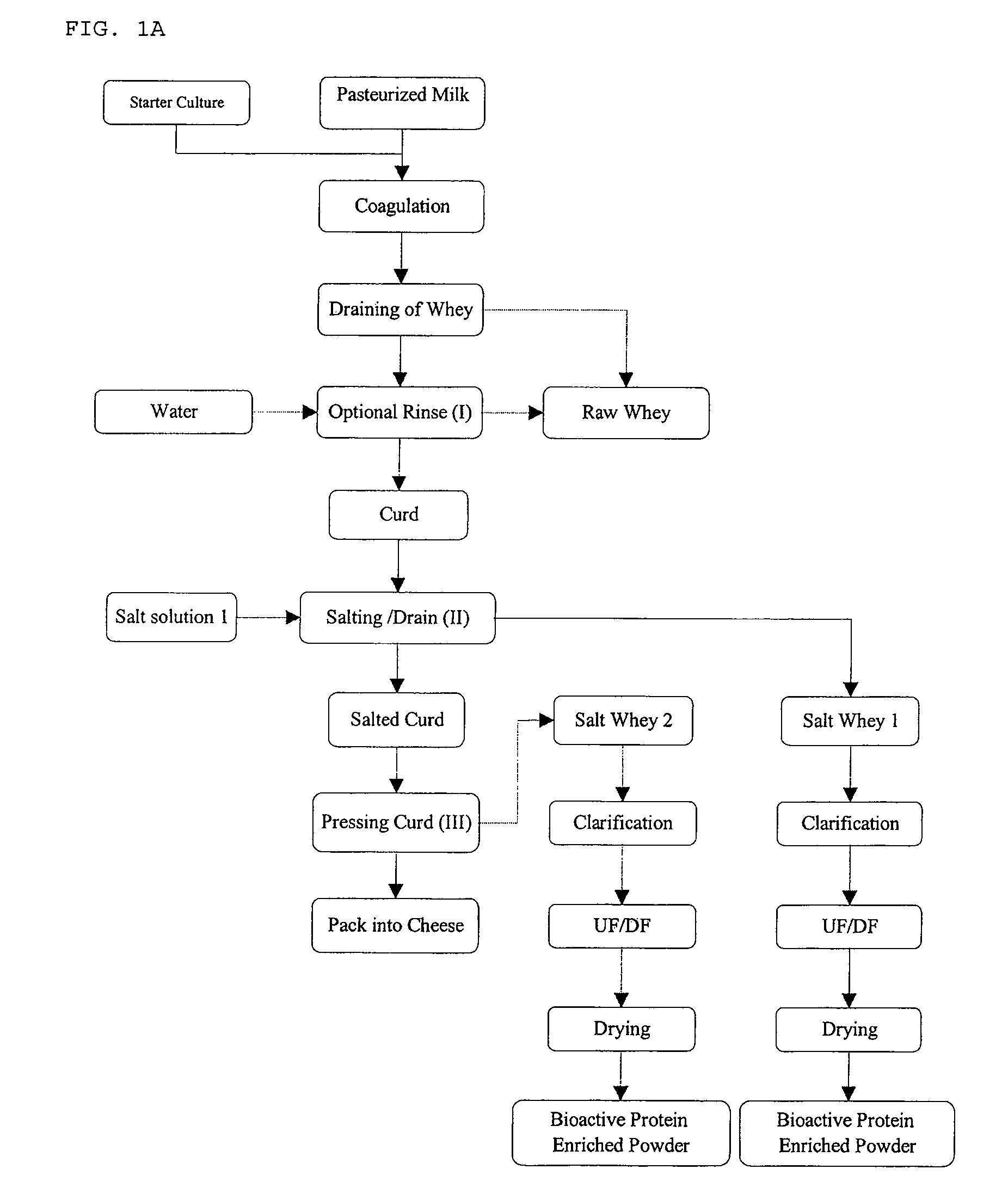 Process for preparing bioactive protein-enriched whey products