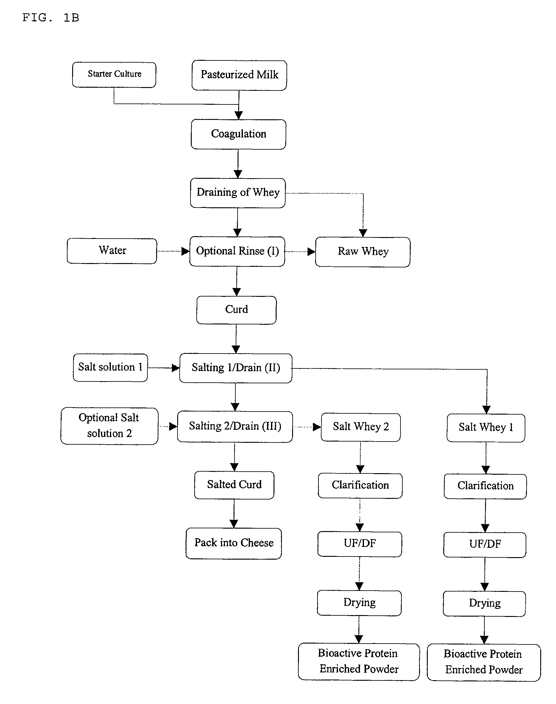 Process for preparing bioactive protein-enriched whey products