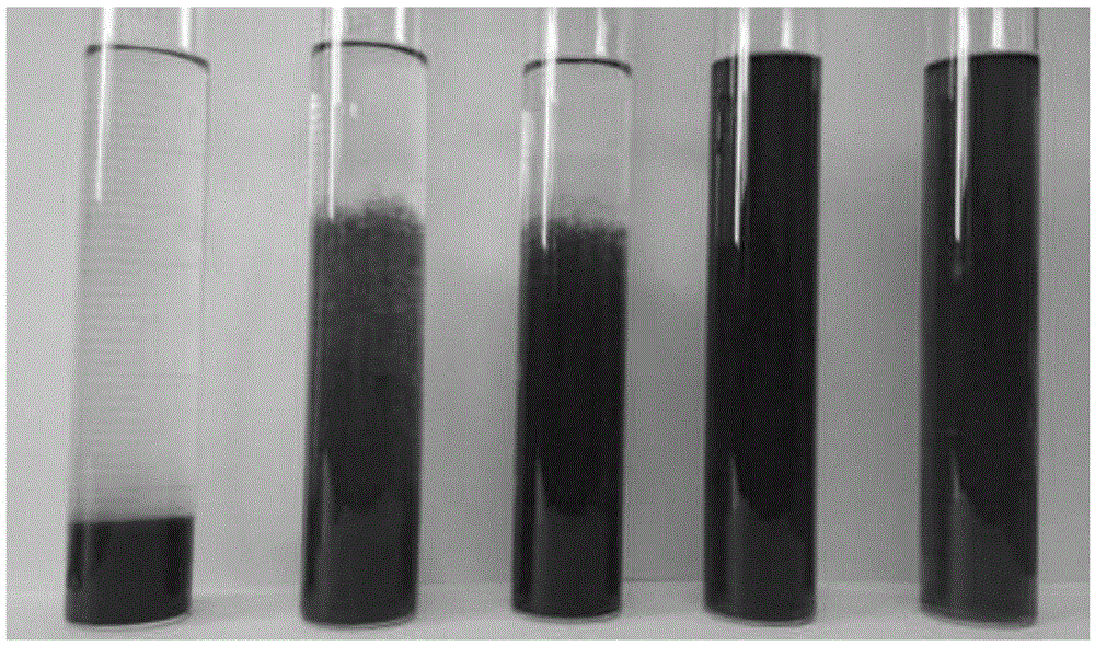 Preparation method of forward osmosis membrane modified with oxidized graphene