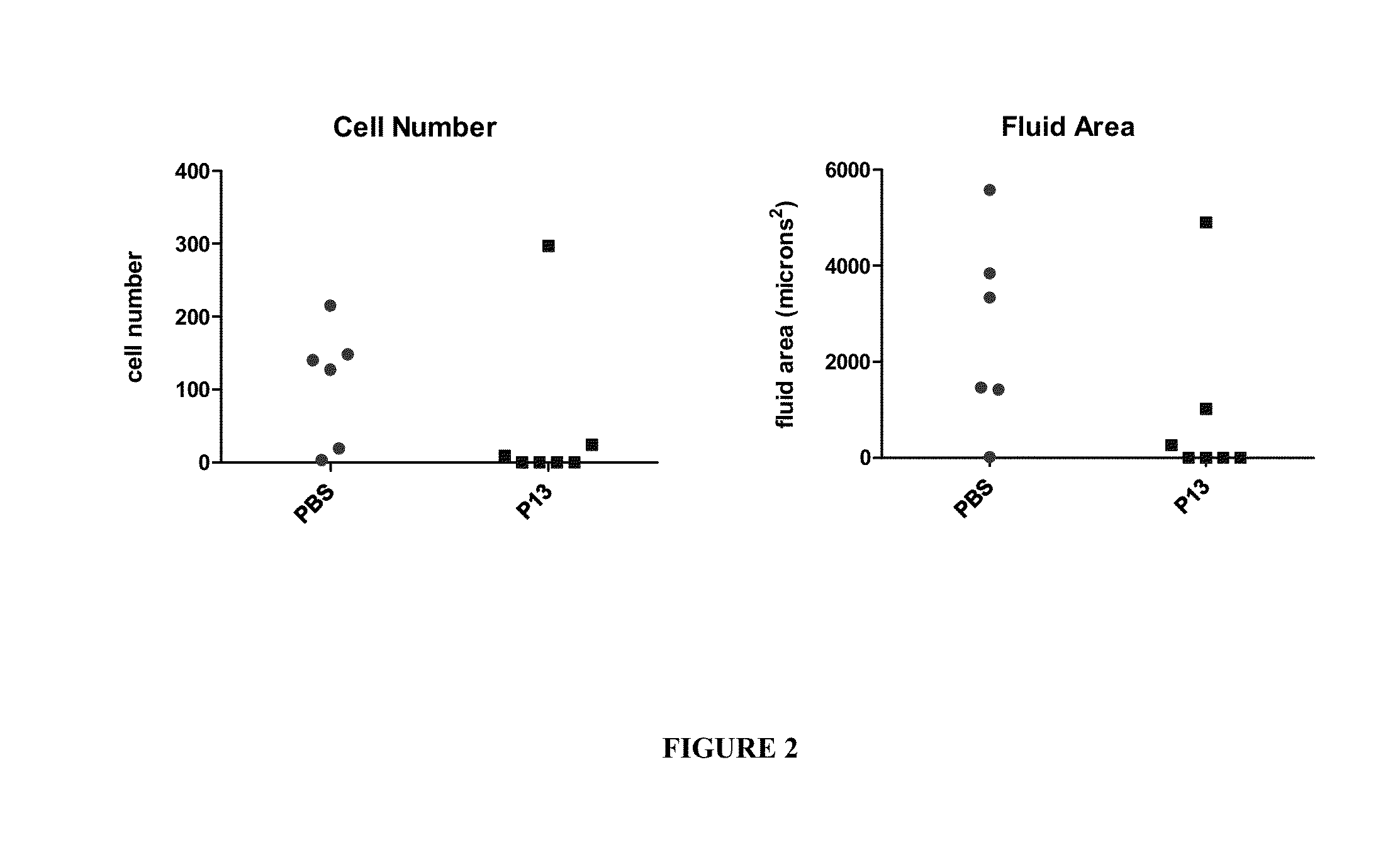 Immunoregulatory peptides and methods of use