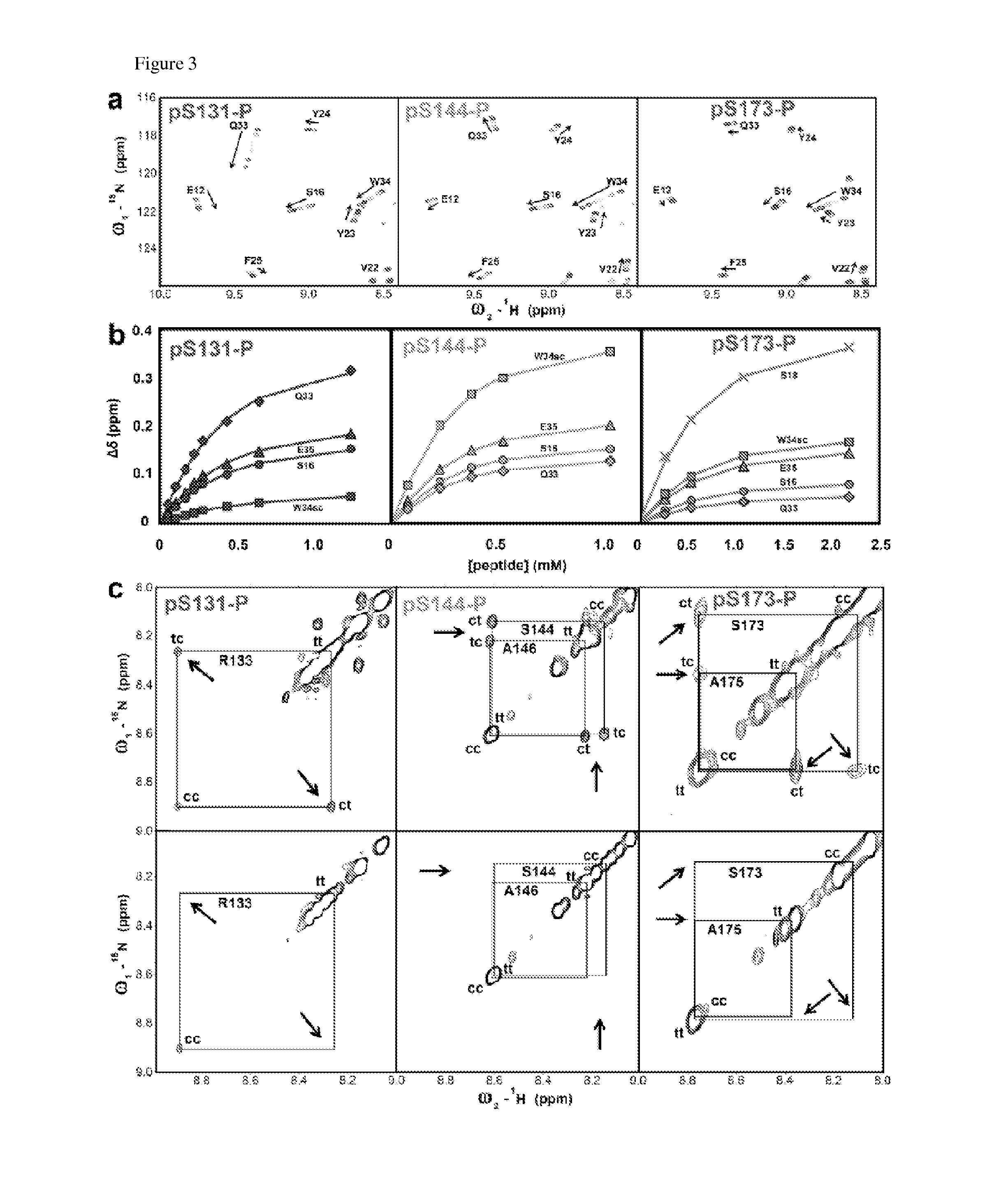 Methods and compositions for the treatment of immune disorders