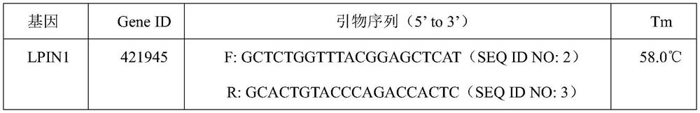 Molecular marker related to skin color of chicken, primer group and application