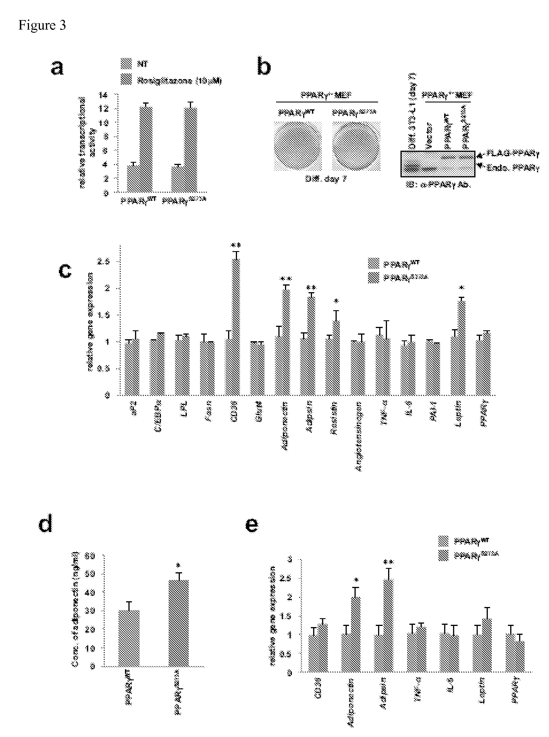 Compositions, Kits, and Methods for Identification, Assessment, Prevention, and Therapy of Metabolic Disorders