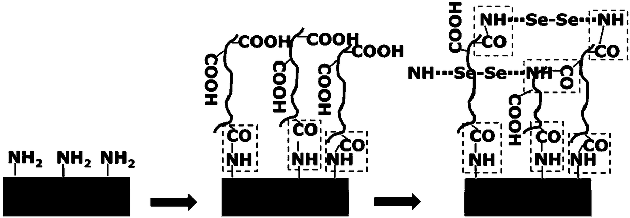 Preparation method of blood contact material for improving biocompatibility and blood contact material