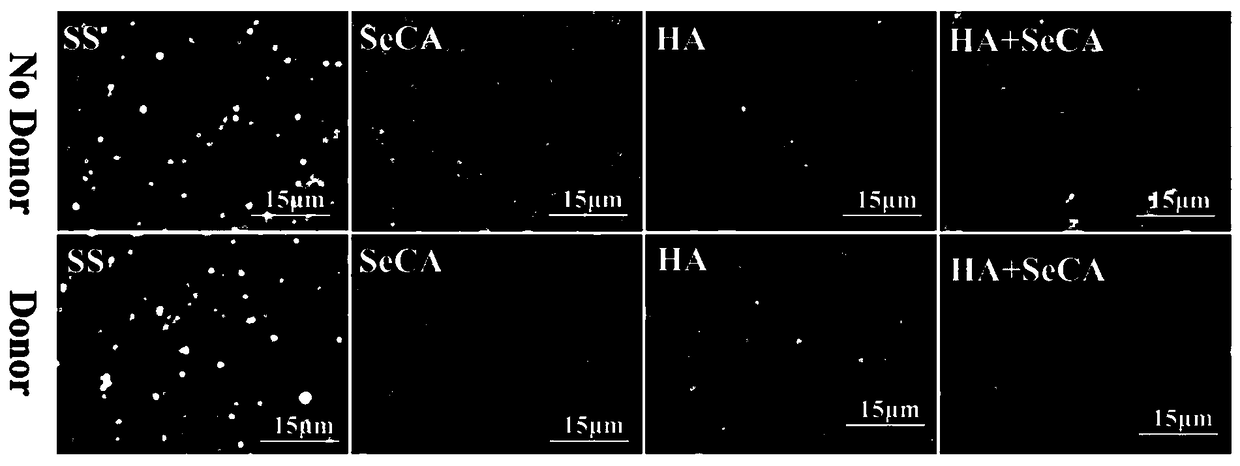 Preparation method of blood contact material for improving biocompatibility and blood contact material