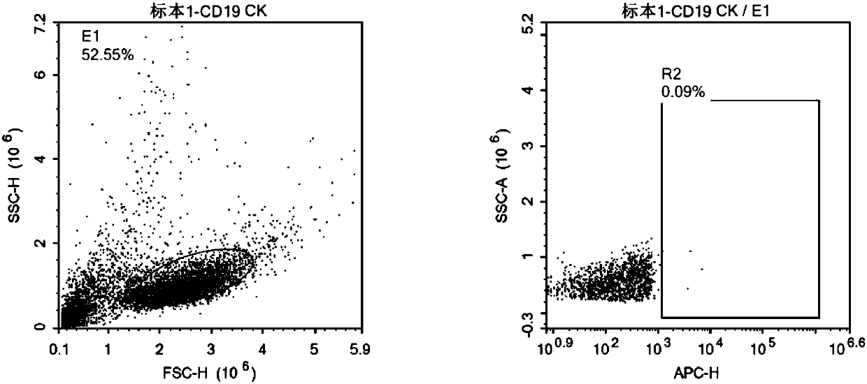 Specific antibody taking CD19 as target point, CAR-NK cell as well as preparation and application thereof