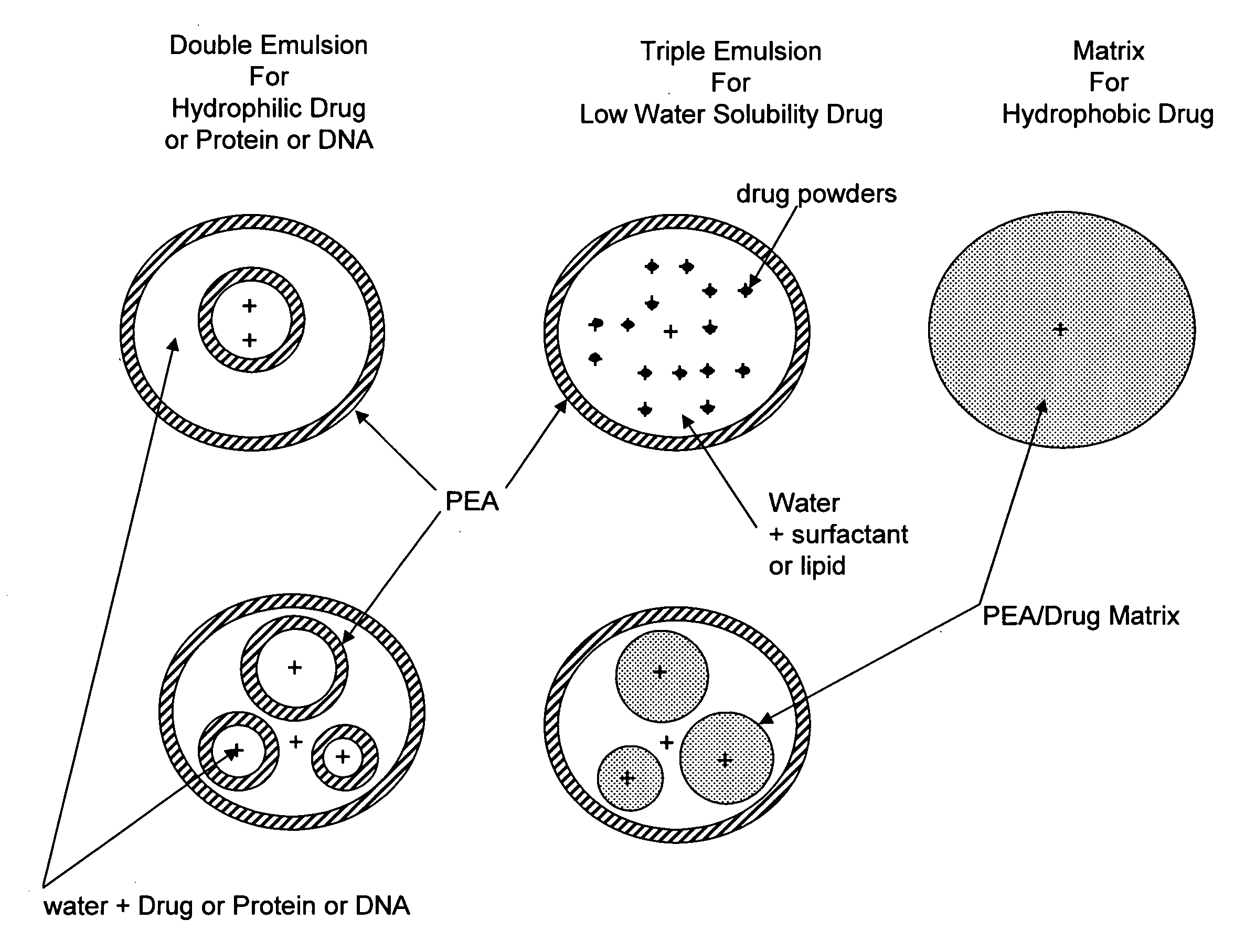 Vaccine delivery compositions and methods of use