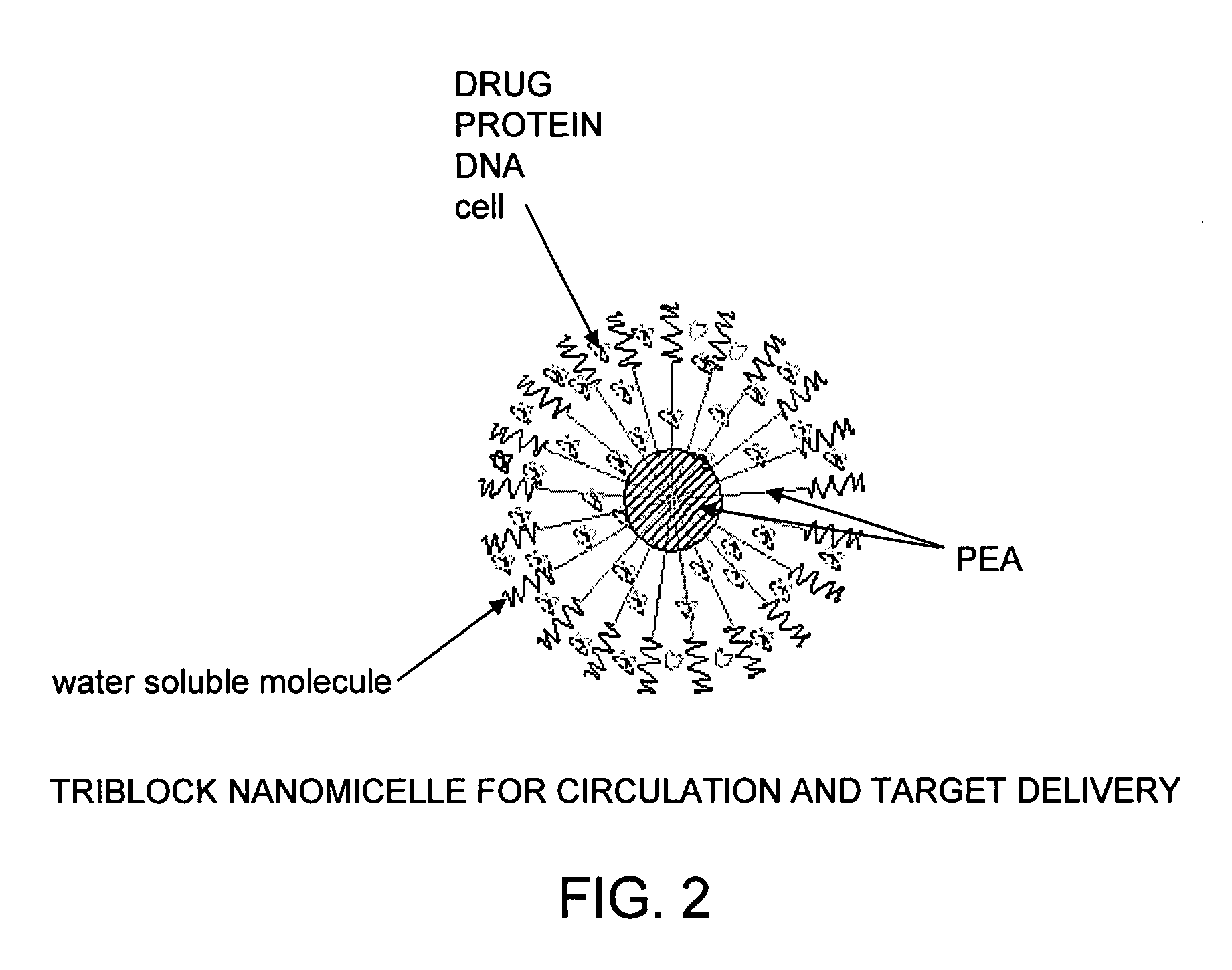 Vaccine delivery compositions and methods of use