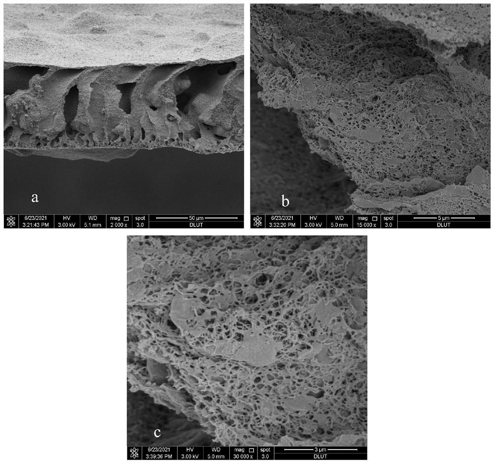 Preparation and application of anode carbon-based membrane material for lithium-sulfur battery