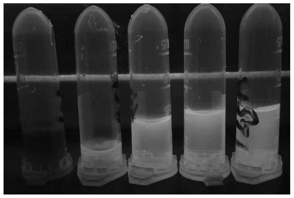 Method for rapidly synthesizing high-fluorescence sulfur quantum dots