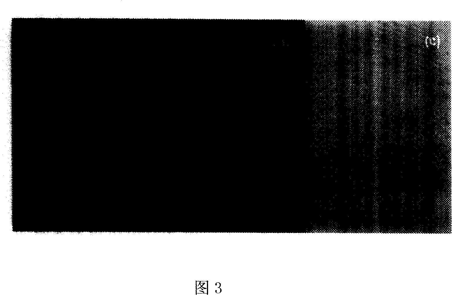 Method for showing latent fingerprint, and develop system
