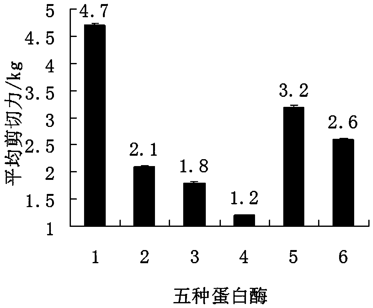 Method for tenderizing beef with compound enzyme preparation