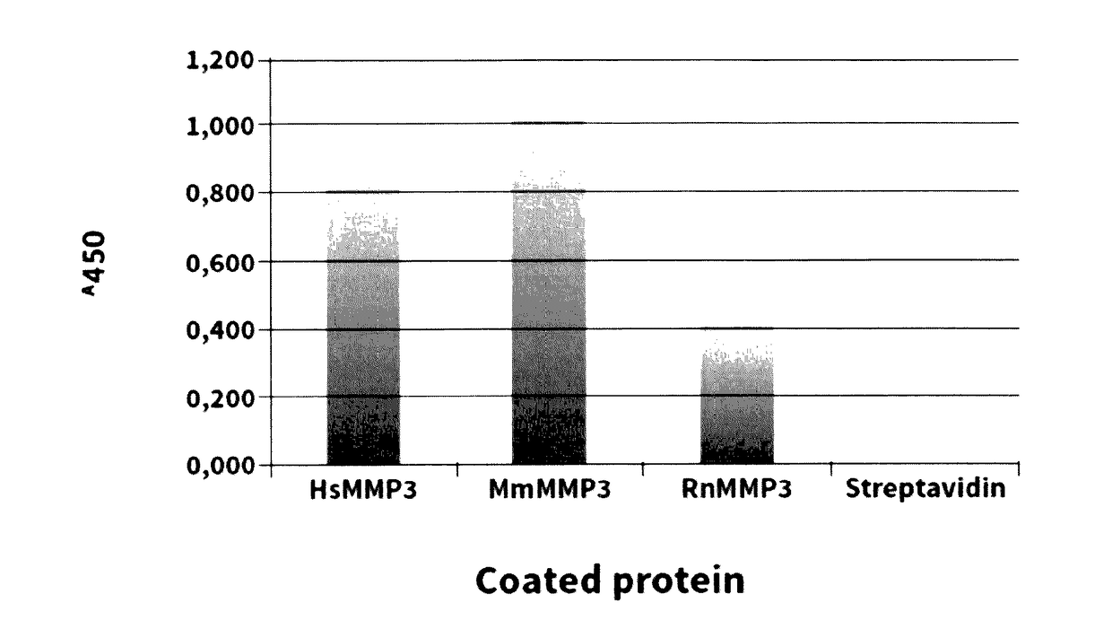 Antibodies for treatment and diagnosis