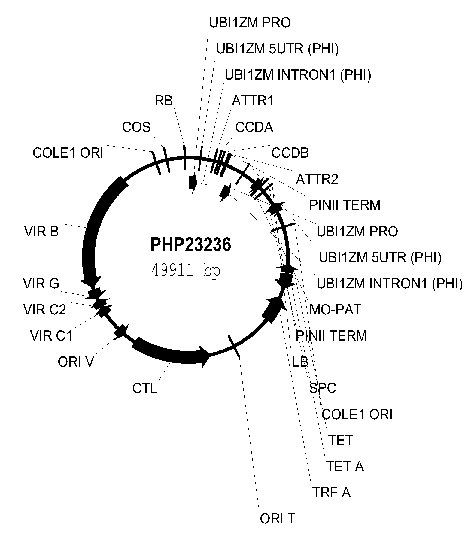 Drought tolerant plants and related constructs and methods involving genes encoding ferrochelatases