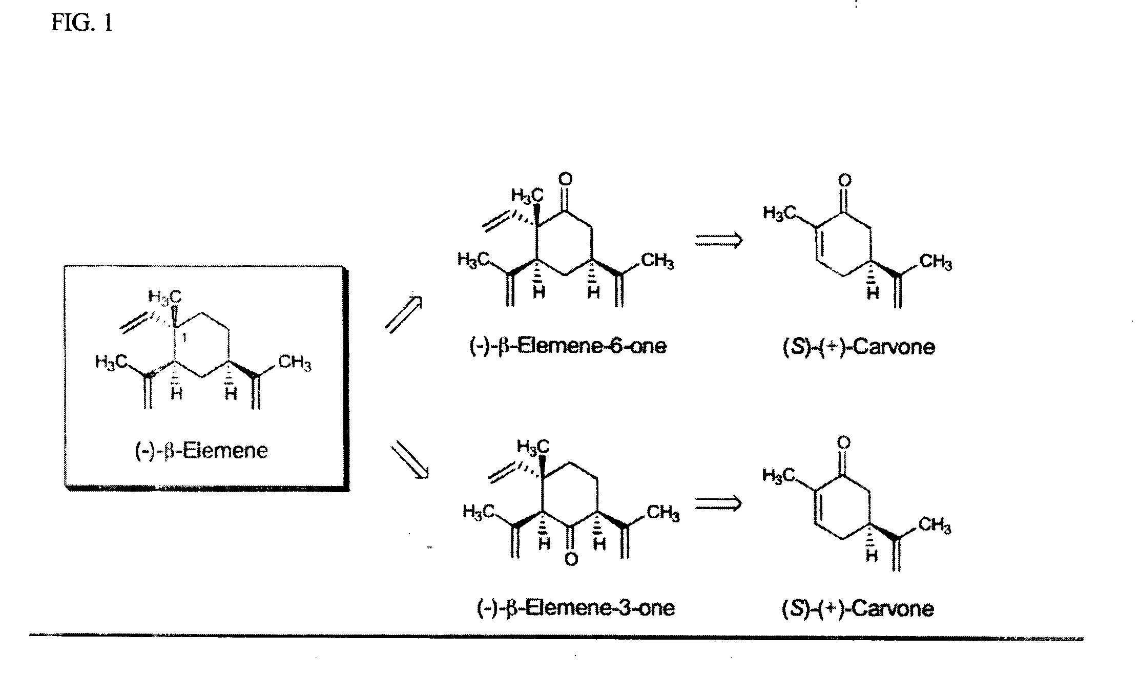 Synthesis of beta-elemene, intermediates thereto, analogues and uses thereof