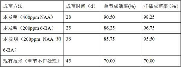 A kind of method for single-node seedling growth of sweet potato