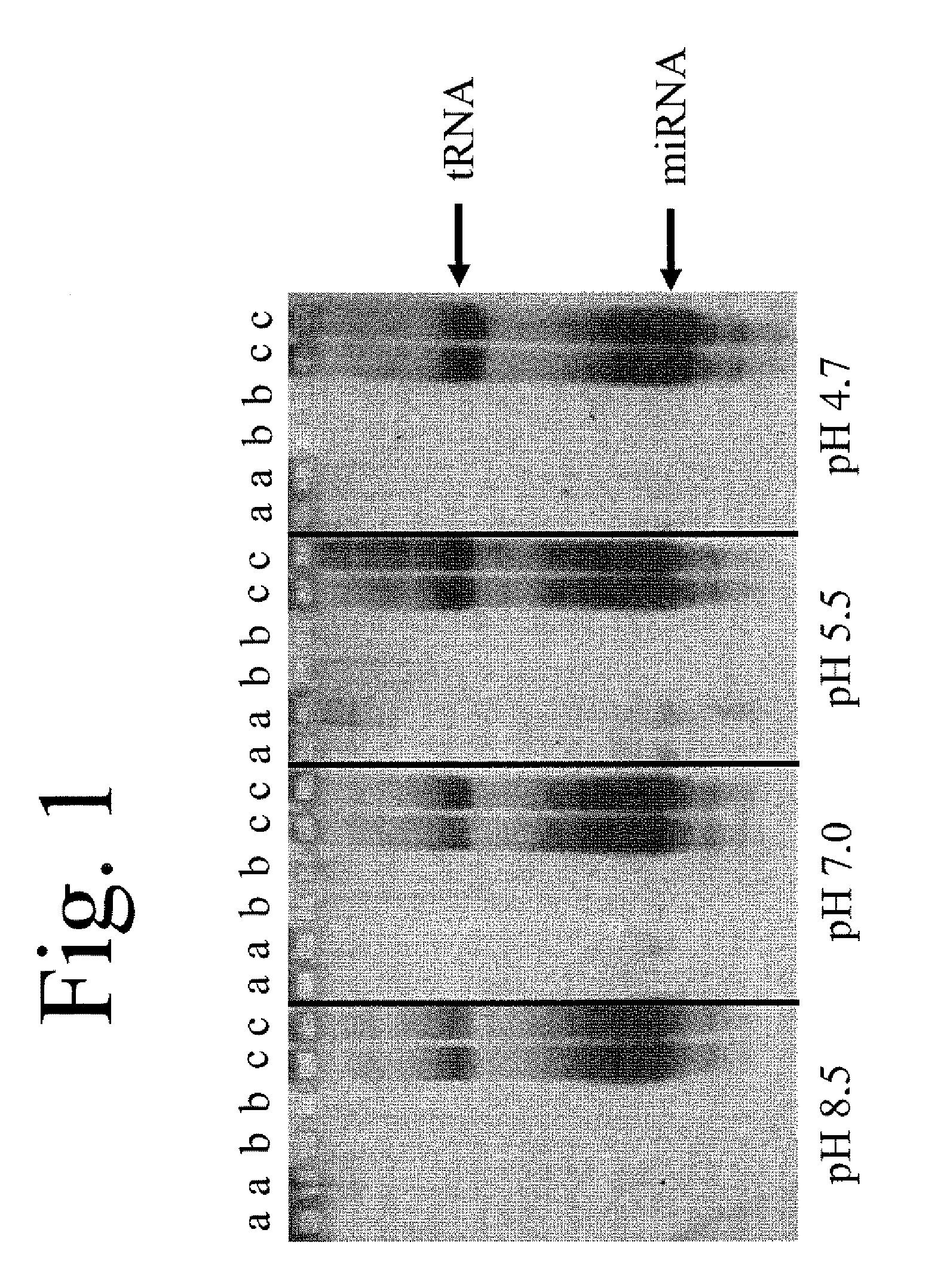 Method for enriching short-chain nucleic acids