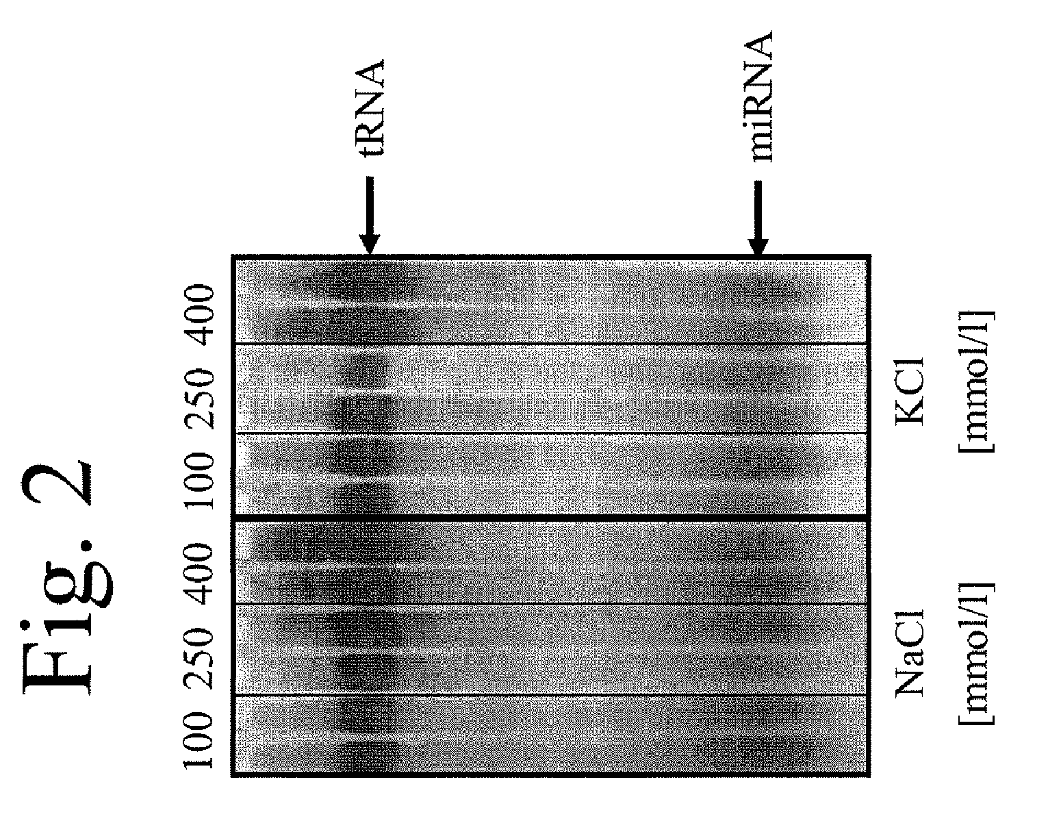 Method for enriching short-chain nucleic acids