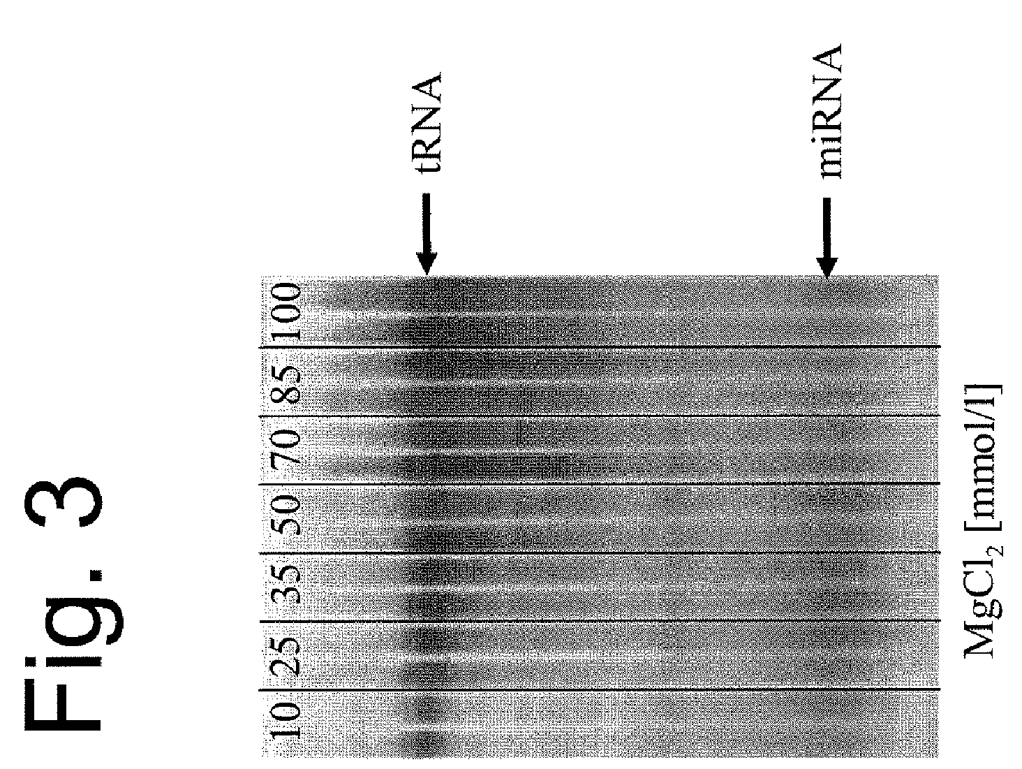 Method for enriching short-chain nucleic acids